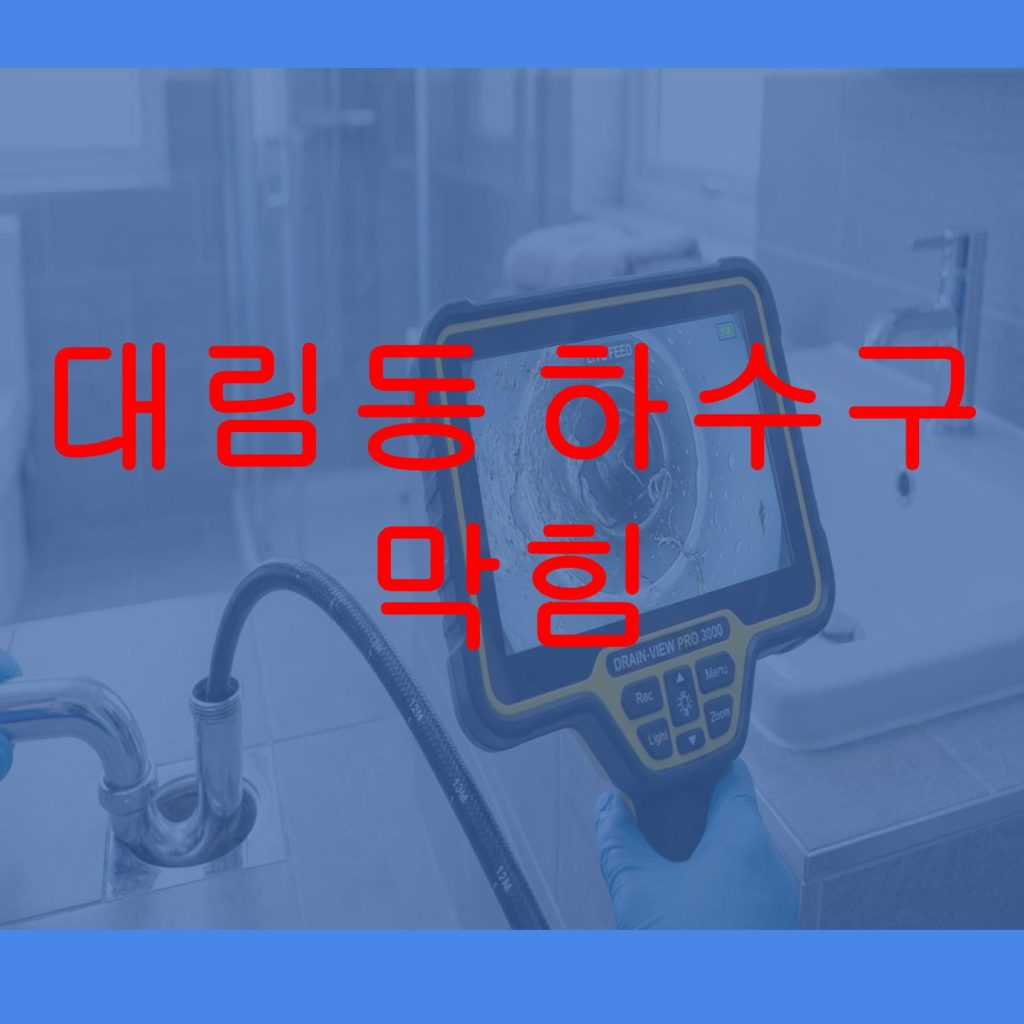 대림동 하수구 막힘