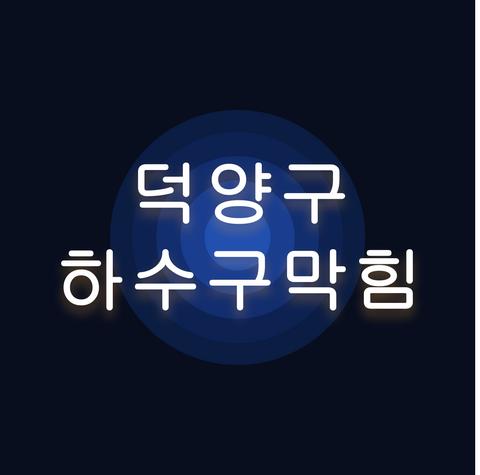 덕양구 하수구막힘
