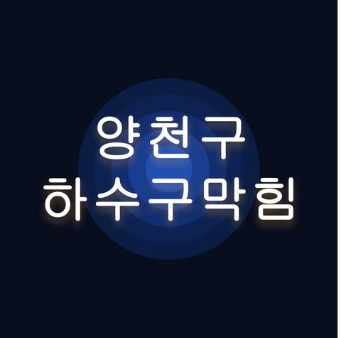 양천구 하수구막힘