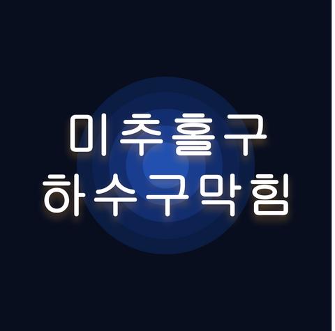 미추홀구 하수구막힘