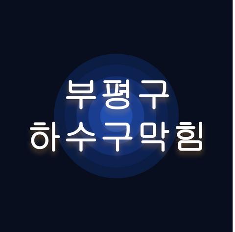 부평구 하수구막힘